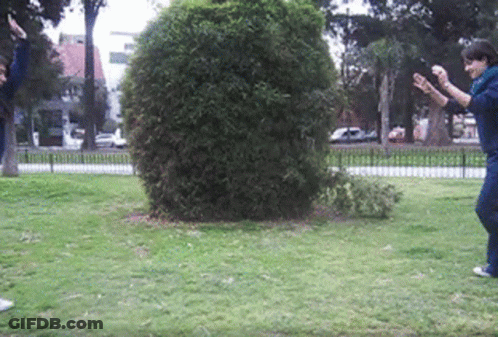 Two People Playing In Park GIF