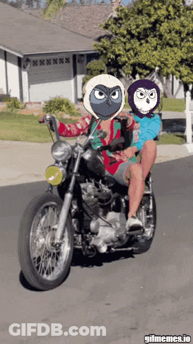 Two People Riding Motorcycle With Owls On Faces GIF