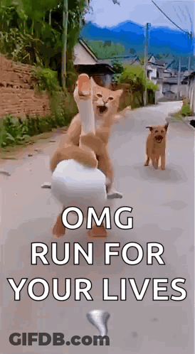 Two People Standing Saying Hi Hello GIF