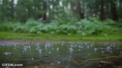 Two People Under Orange Umbrella With FFN GIF