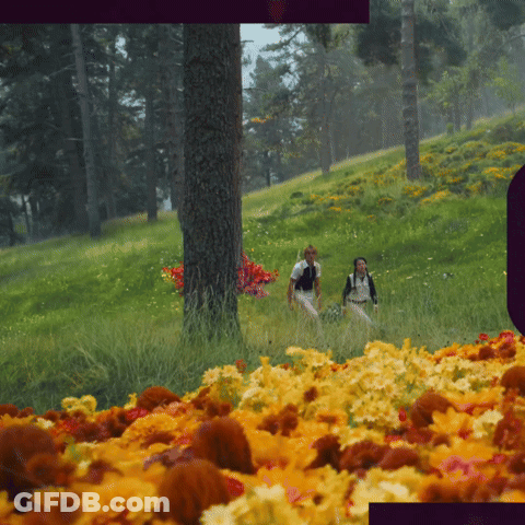 Two People Walking Through Field Of Flowers GIF
