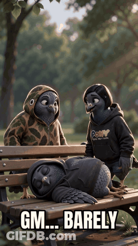 Two Pigeons In Hoodies On Bench One Sleeping GIF