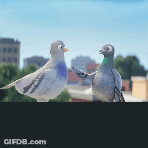 Two Pigeons Standing On Balcony GIF