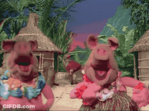 Two Pigs In Hawaiian Outfits Are Dancing On The Beach GIF