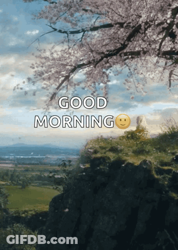 Two Pink And White Water Lilies Floating In Pond Saying Morning Beautiful GIF