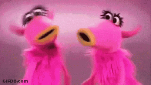 Two Pink Horned Birds Looking At Each Other GIF