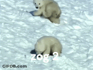 Two Polar Bear Cubs Are Playing In The Snow With The Words " Zog 2 " Written On The Bottom GIF