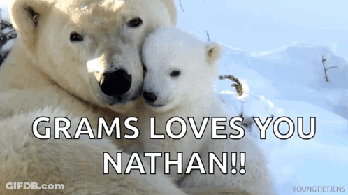 Two Polar Bears Hugging Each Other With The Words " Grams Loves You Nathan " Below Them GIF
