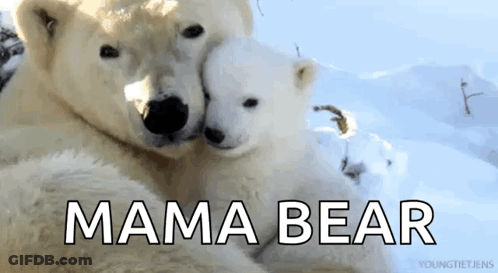 Two Polar Bears Hugging Each Other With The Words Mama Bear Written Below Them GIF