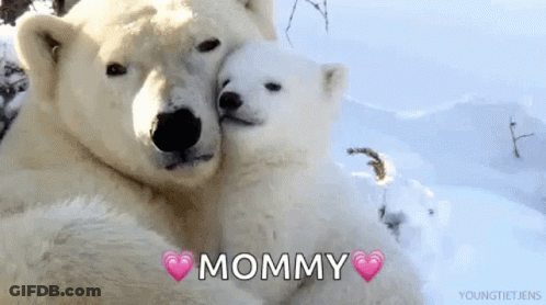 Two Polar Bears Hugging In Snow With Mommy GIF