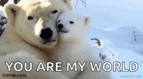 Two Polar Bears Hugging In Snow You Are My World GIF