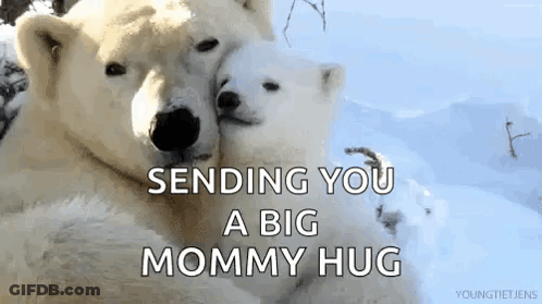 Two Polar Bears Hugging Saying Big Mommy Hug GIF