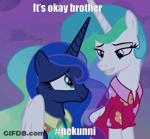 Two Ponies Saying It's Okay Brother GIF