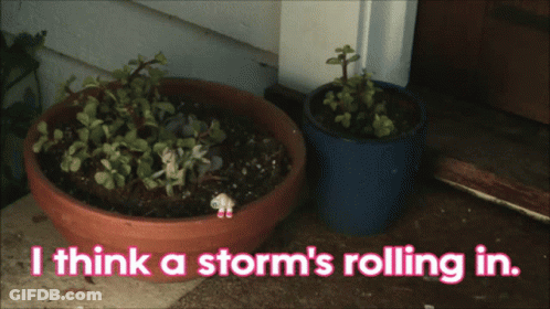 Two Potted Plants With The Words I Think A Storm 'S Rolling In Below Them GIF