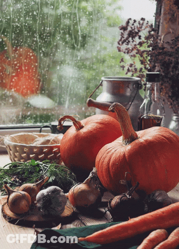 Two Pumpkins Sit On A Table In Front Of A Window With Raindrops On It GIF