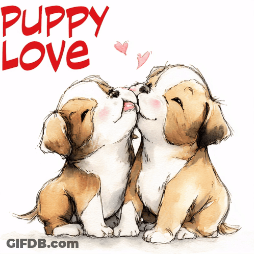 Two Puppies Are Kissing With The Words Puppy Love Behind Them GIF