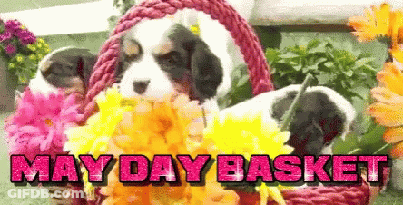 Two Puppies In A Basket With The Words May Day Basket GIF