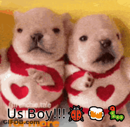 Two Puppies Wearing Red Sweaters With Hearts On Them And The Words Us Boy On The Bottom GIF