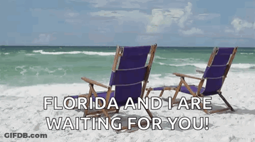 Two Purple Beach Chairs Saying Florida And I Are Waiting For You GIF