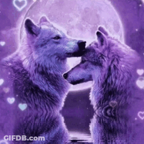 Two Purple Wolves Kissing Under Full Moon GIF