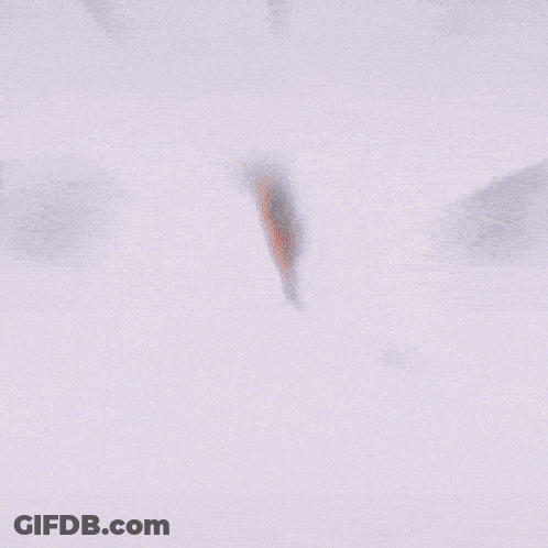 Two Puzzle Pieces Saying You Are My Missing Piece GIF