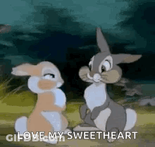 Two Rabbits Are Sitting Next To Each Other In A Field And Talking . GIF