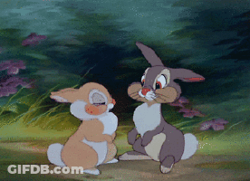 Two Rabbits Are Sitting Next To Each Other In A Field GIF