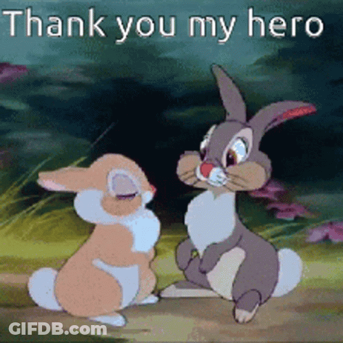 Two Rabbits Are Standing Next To Each Other With The Words " Thank You My Hero " Above Them GIF