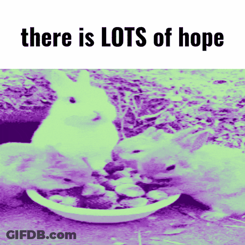 Two Rabbits Eating From Bowl Saying There Is Lots Of Hope GIF