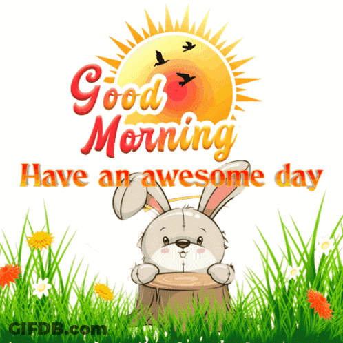Two Rabbits Good Morning Have An Awesome Day GIF