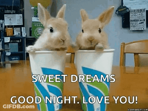 Two Rabbits In Cups Saying Good Night GIF