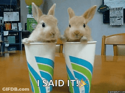 Two Rabbits In Cups With The Words I Said It GIF