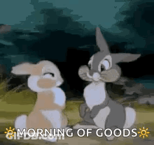 Two Rabbits In Field With Morning Of Goods GIF