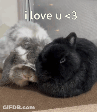 Two Rabbits Laying Together With I Love U <3 GIF