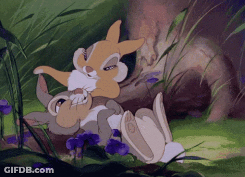 Two Rabbits Lying In Grass With Purple Flowers GIF