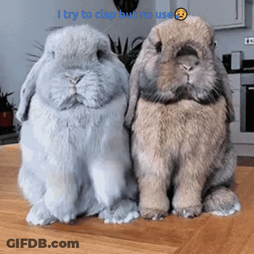 Two Rabbits Saying I Try To Clap But No Use GIF