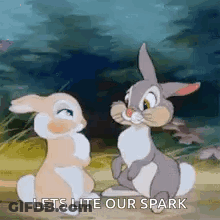 Two Rabbits Sitting In Field GIF