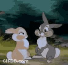 Two Rabbits Sitting On Grass GIF