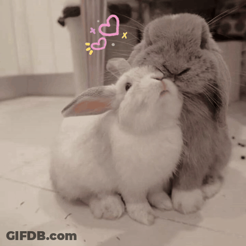Two Rabbits Sitting Together With Pink Hearts GIF