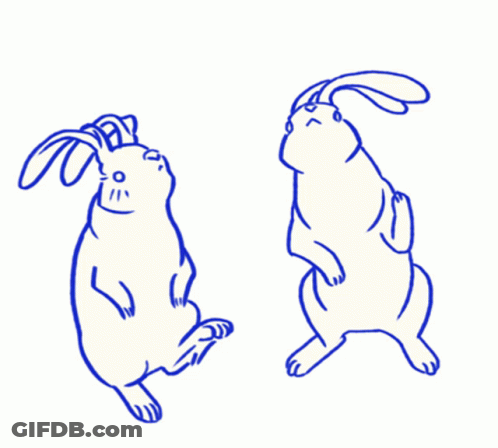 Two Rabbits Standing On Hind Legs GIF