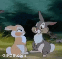 Two Rabbits Standing Together In Field GIF