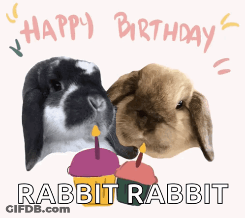 Two Rabbits With Candles Happy Birthday GIF