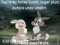 Two Rabbits You're My Honey Bunch GIF