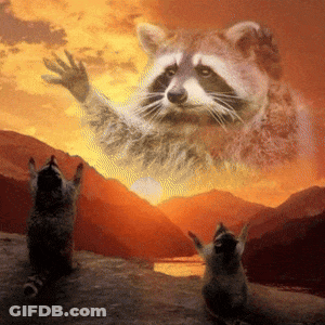 Two Raccoons Are Standing In Front Of A Mountain With A Raccoon Flying Overhead GIF