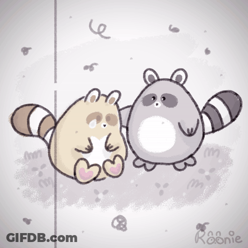 Two Raccoons Drawing With Name Roonie GIF