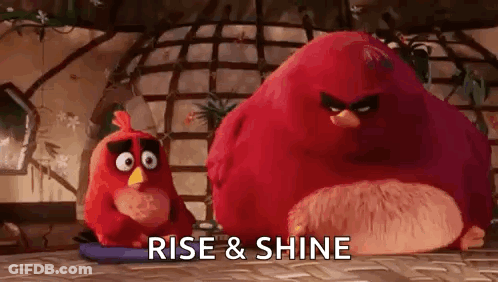 Two Red Angry Birds From The Angry Birds Movie Are Sitting On A Table . GIF