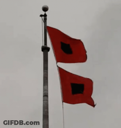 Two Red Flags With Black Squares On Them GIF
