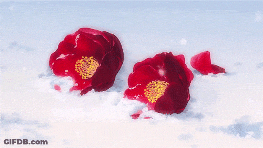 Two Red Flowers Anime Scenery GIF
