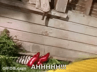 Two Red Peppers On Greenery GIF