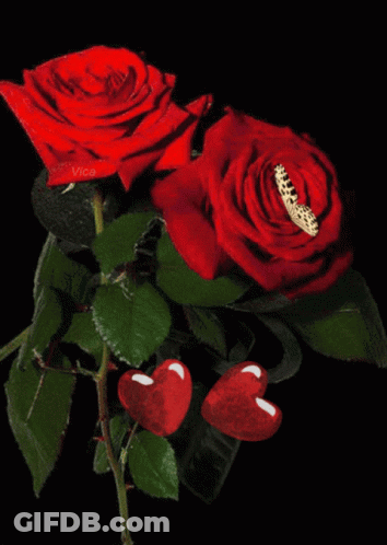 Two Red Roses With Hearts And Butterfly Vica GIF